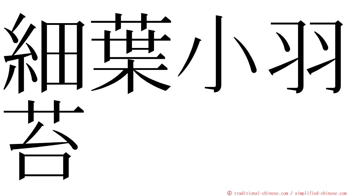 細葉小羽苔 ming font