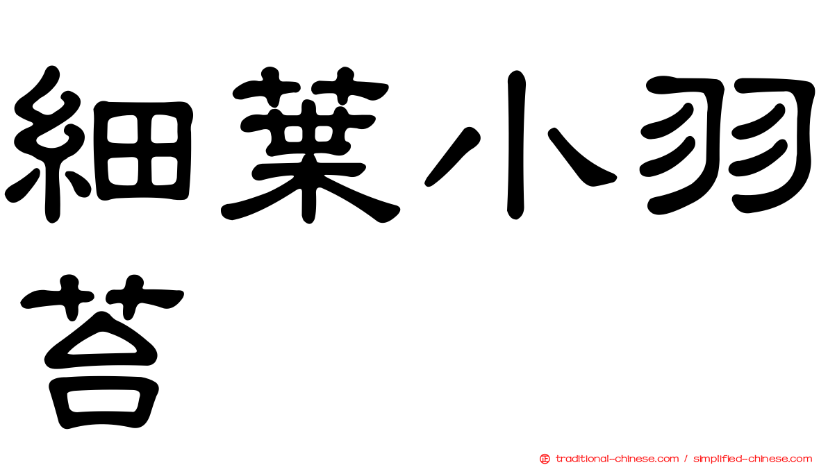 細葉小羽苔