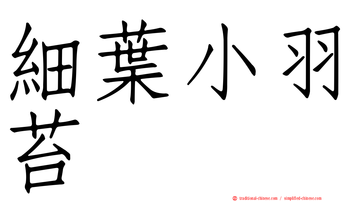 細葉小羽苔