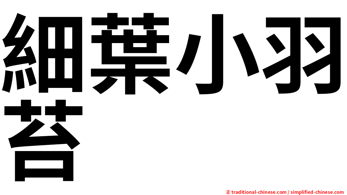 細葉小羽苔