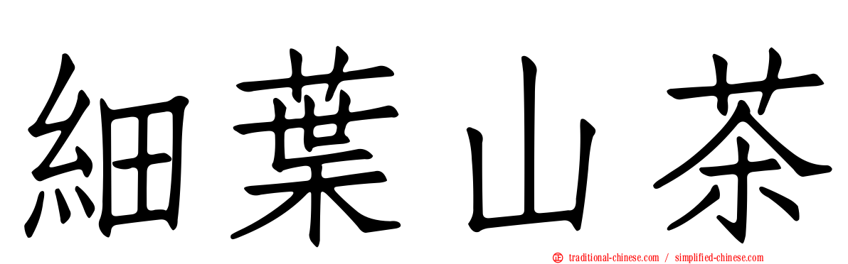 細葉山茶