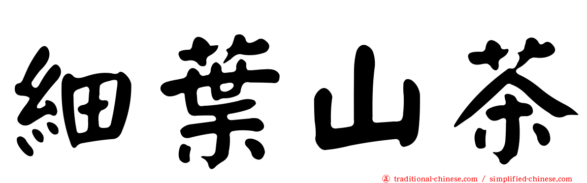 細葉山茶