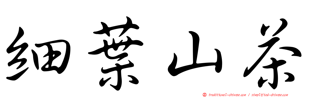 細葉山茶