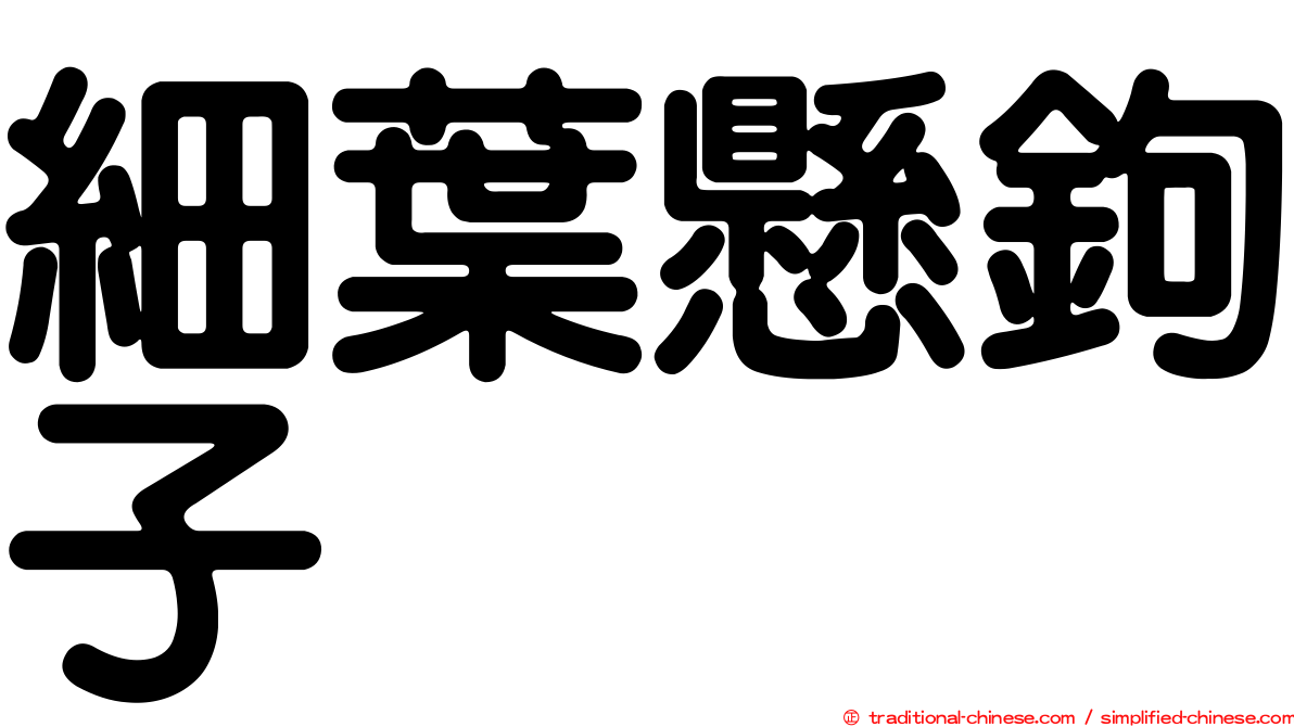 細葉懸鉤子