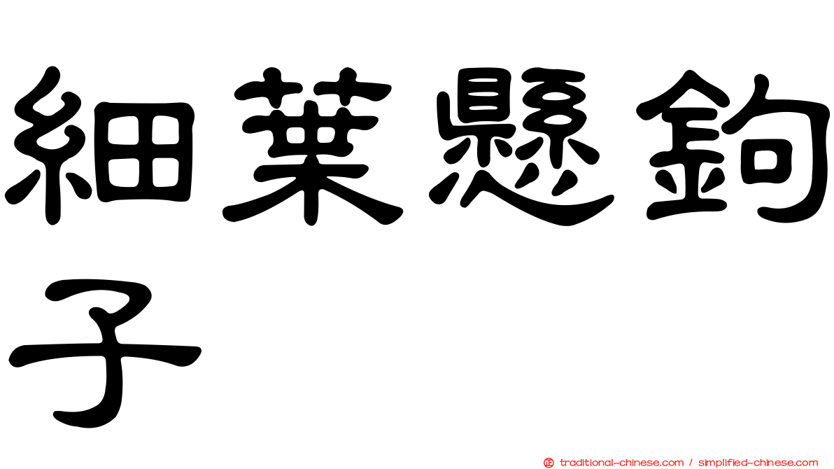 細葉懸鉤子
