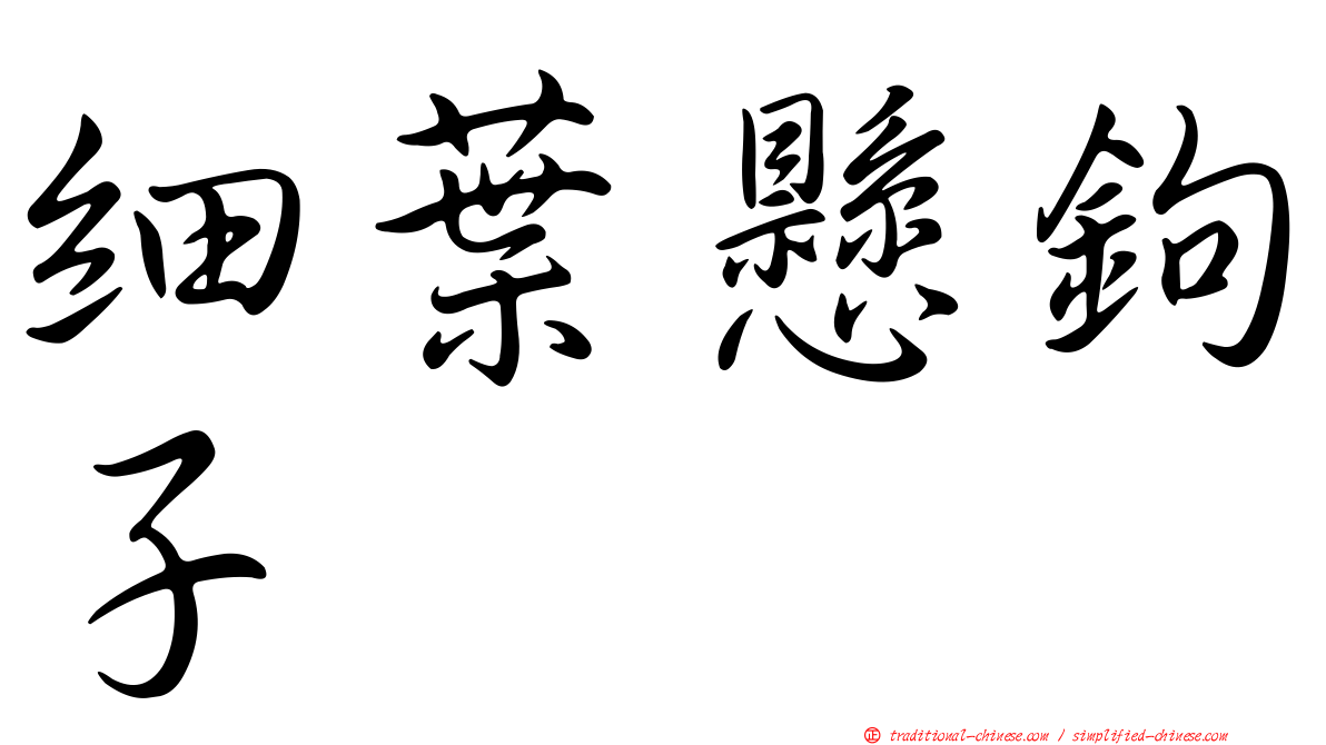 細葉懸鉤子