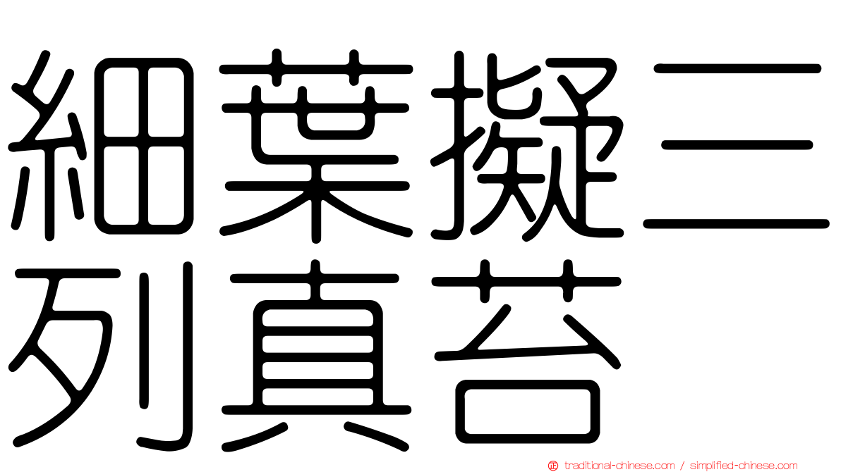 細葉擬三列真苔
