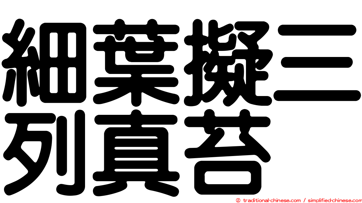細葉擬三列真苔