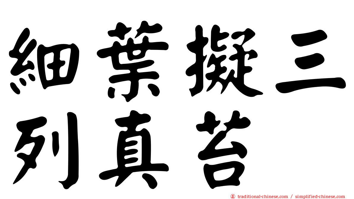 細葉擬三列真苔