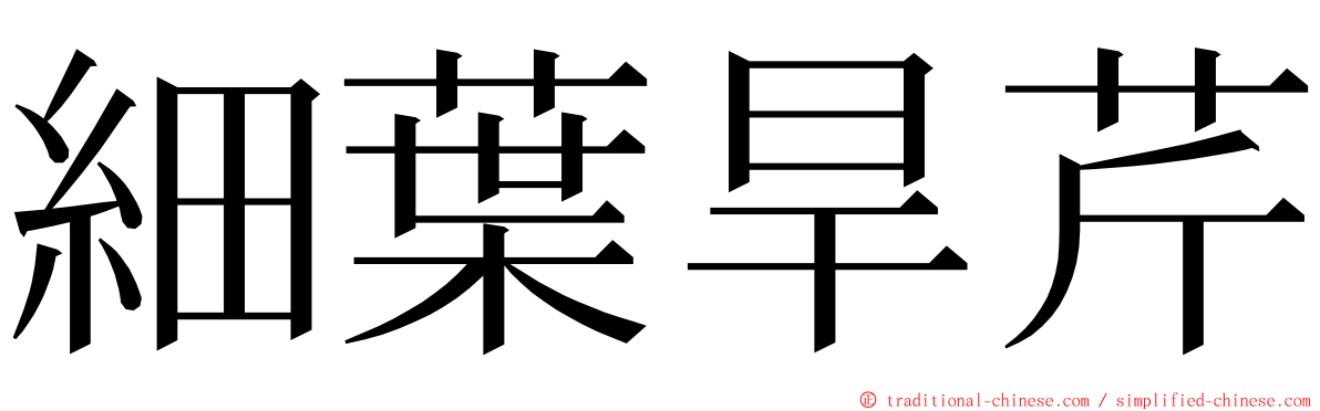 細葉旱芹 ming font