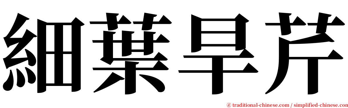 細葉旱芹 serif font