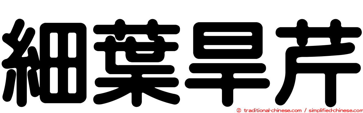 細葉旱芹