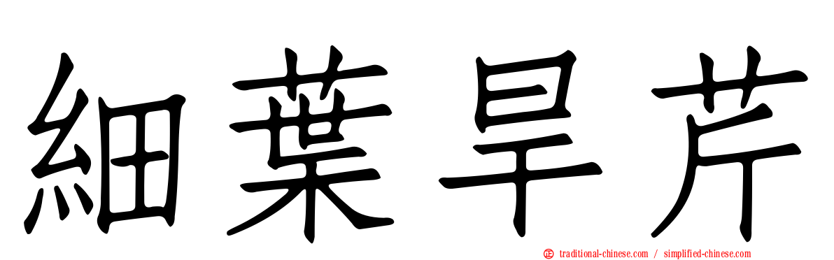細葉旱芹