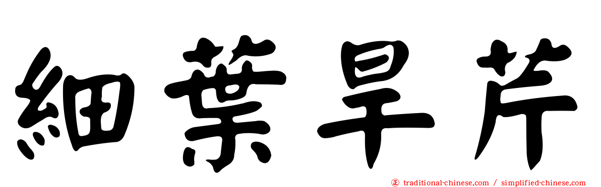 細葉旱芹