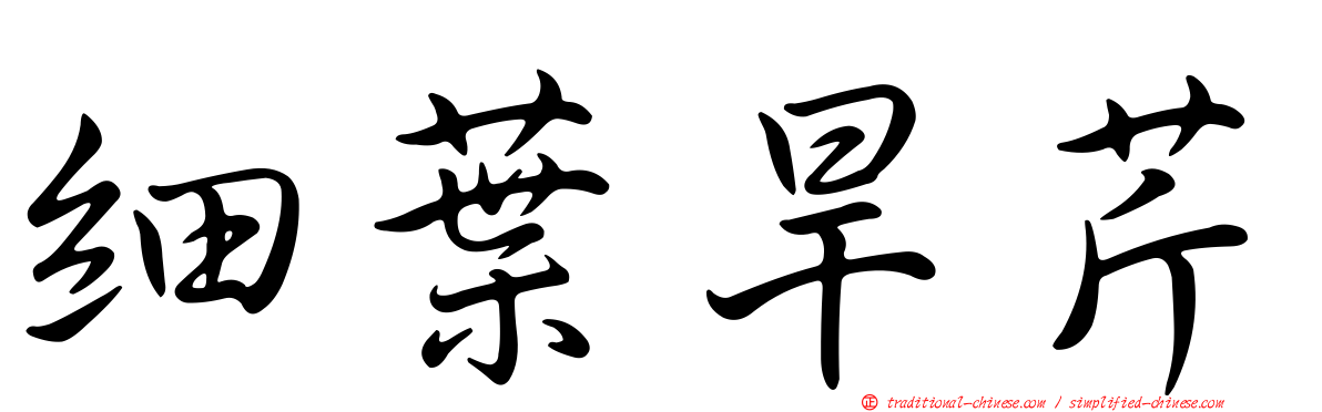 細葉旱芹