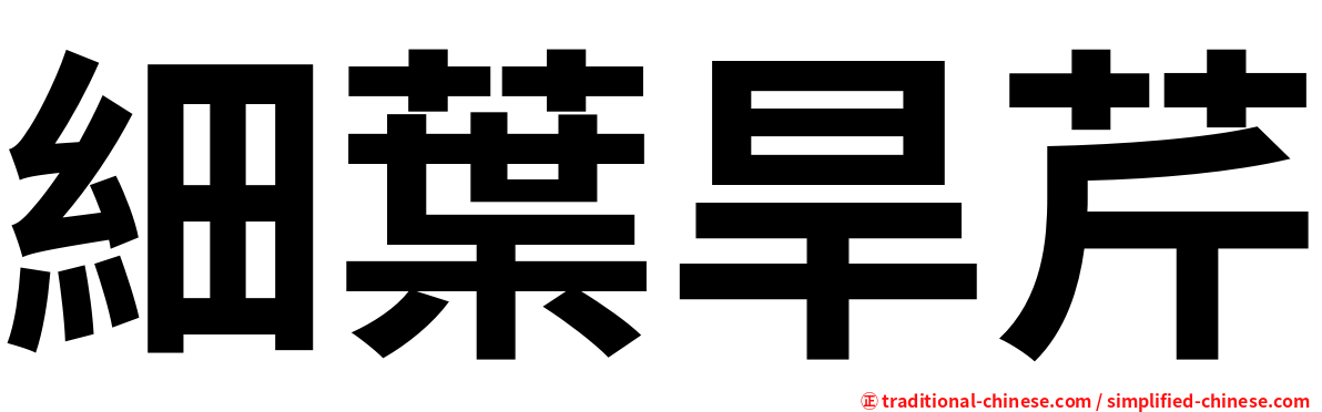 細葉旱芹