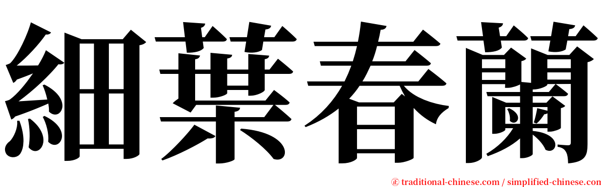 細葉春蘭 serif font