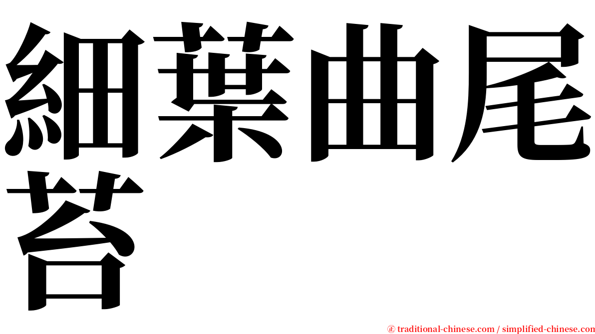 細葉曲尾苔 serif font