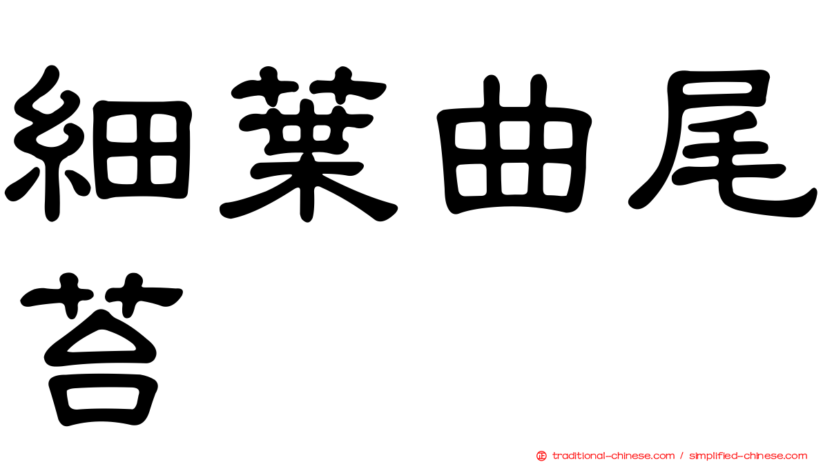 細葉曲尾苔