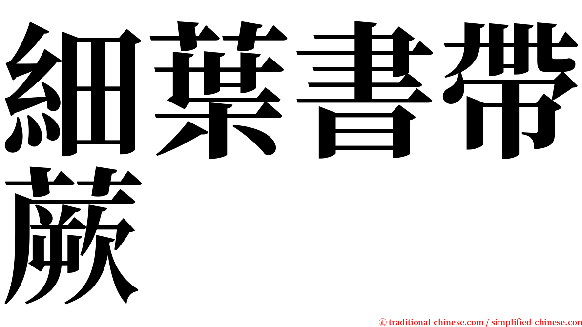 細葉書帶蕨 serif font