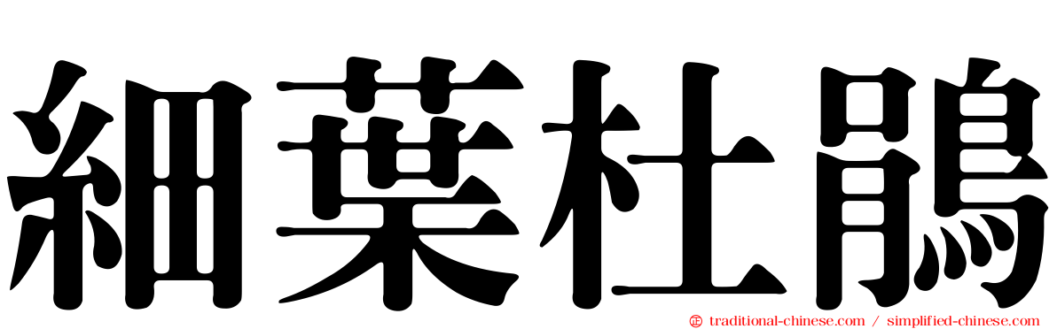 細葉杜鵑