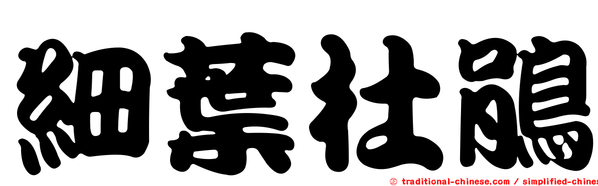 細葉杜鵑