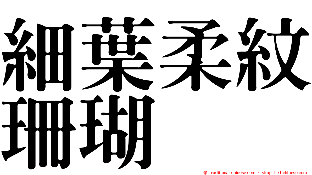 細葉柔紋珊瑚