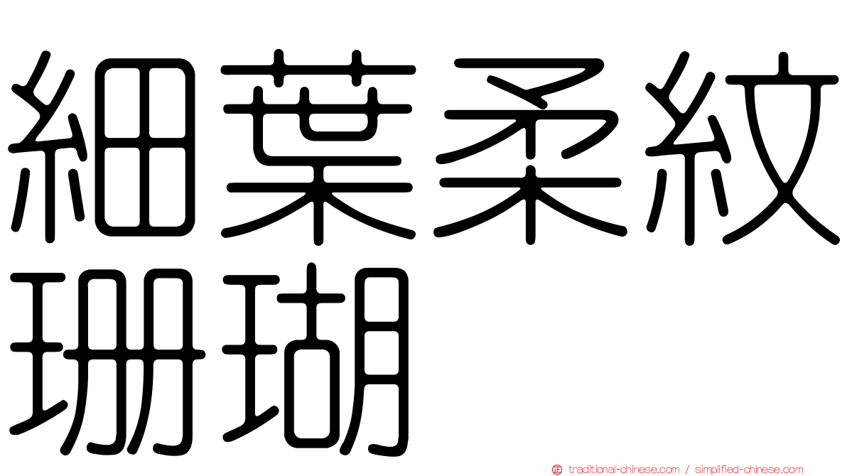 細葉柔紋珊瑚