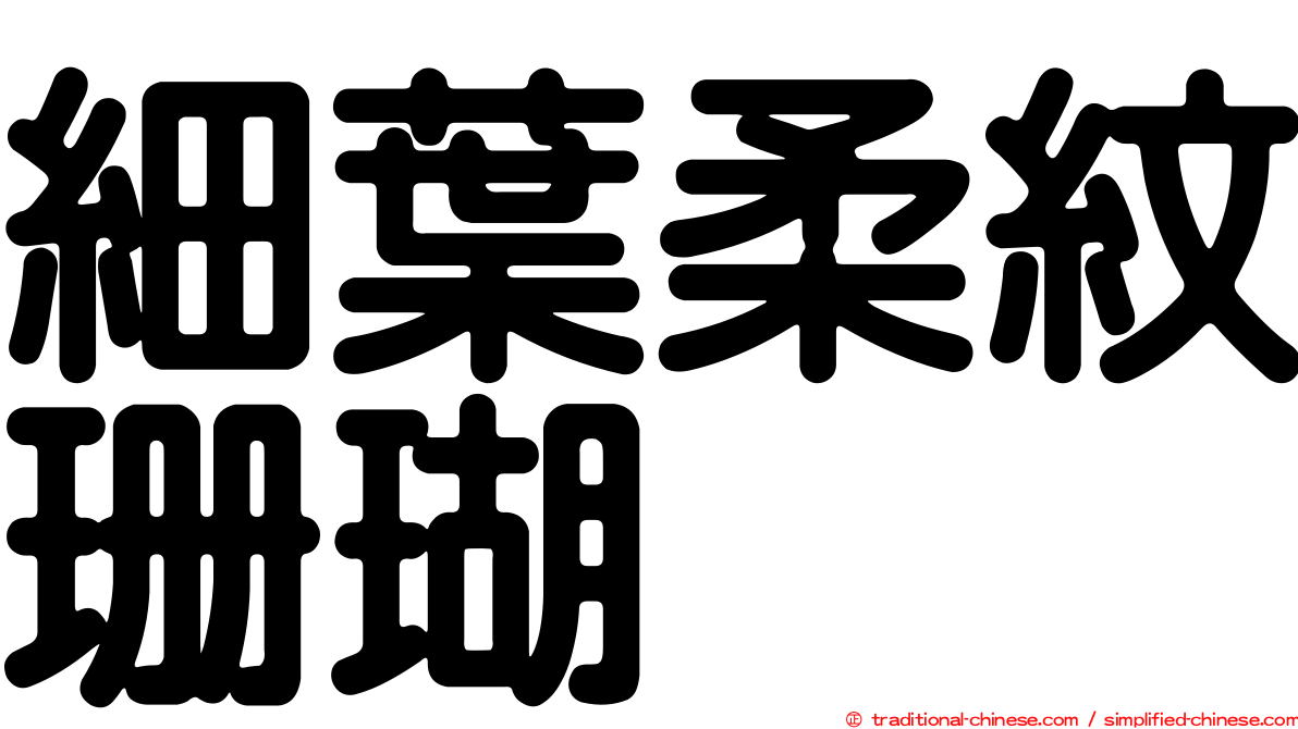細葉柔紋珊瑚
