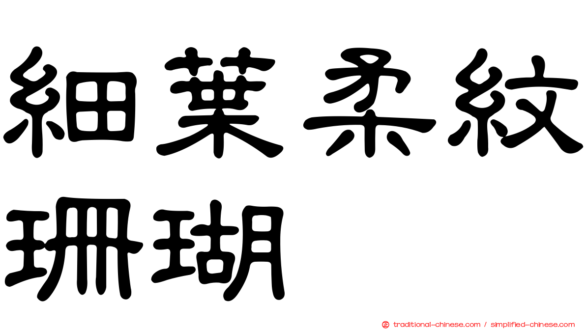 細葉柔紋珊瑚