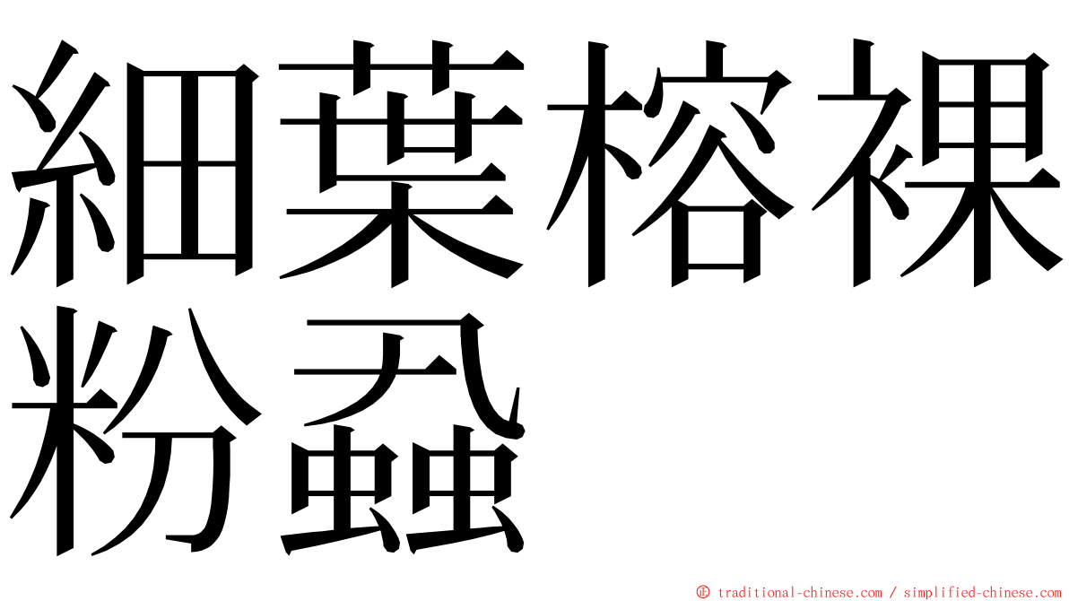 細葉榕裸粉蝨 ming font