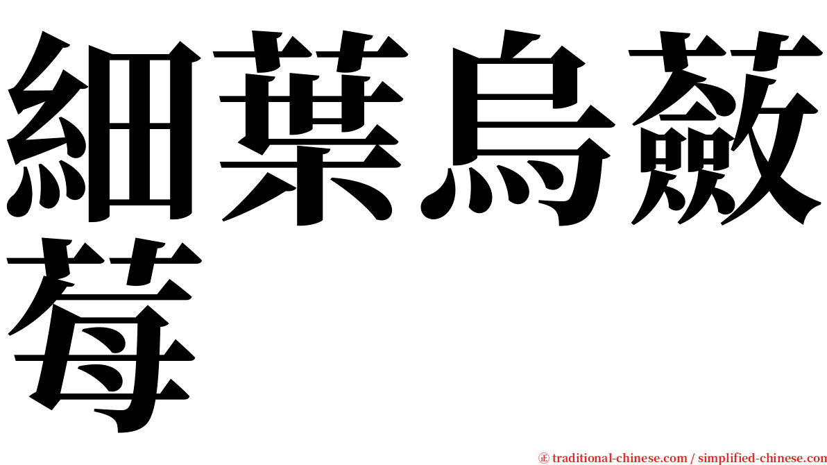 細葉烏蘞莓 serif font