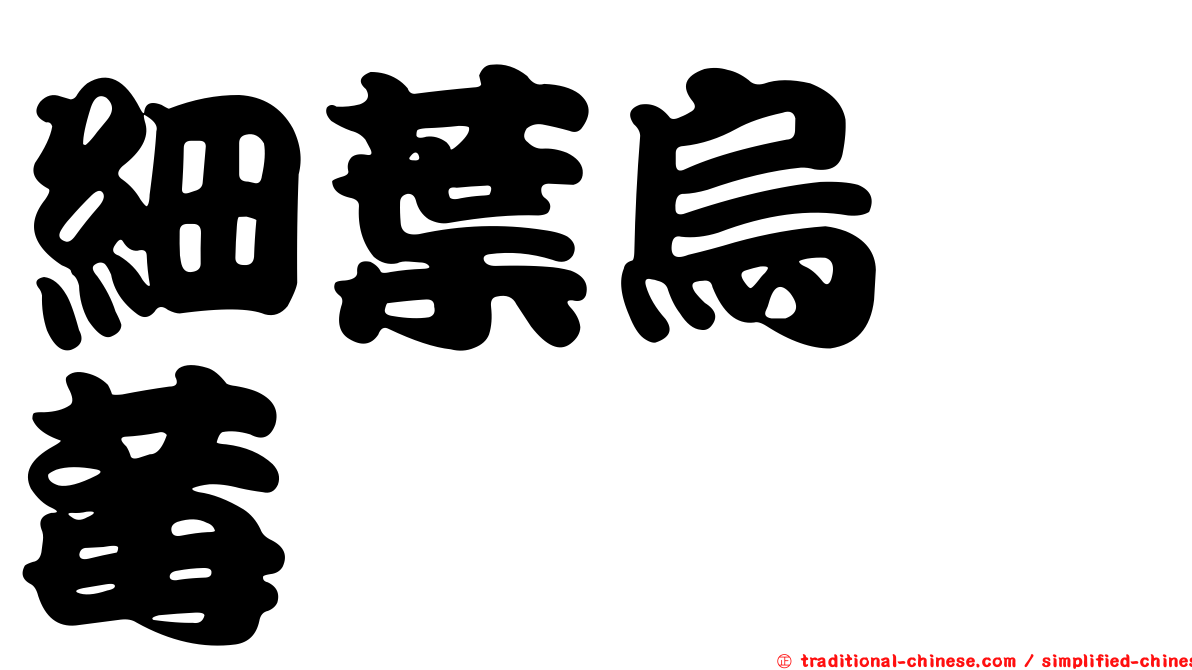 細葉烏蘞莓