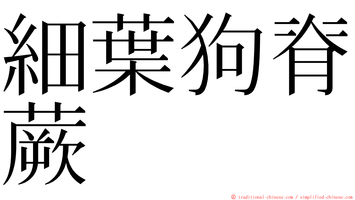 細葉狗脊蕨 ming font