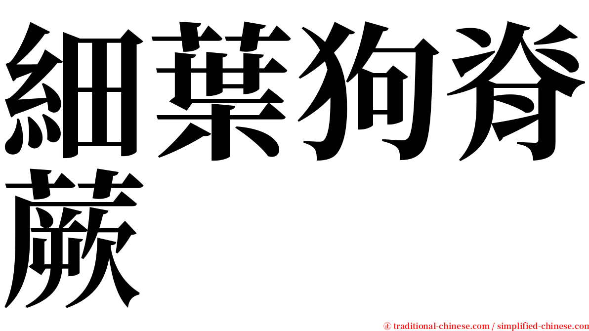 細葉狗脊蕨 serif font