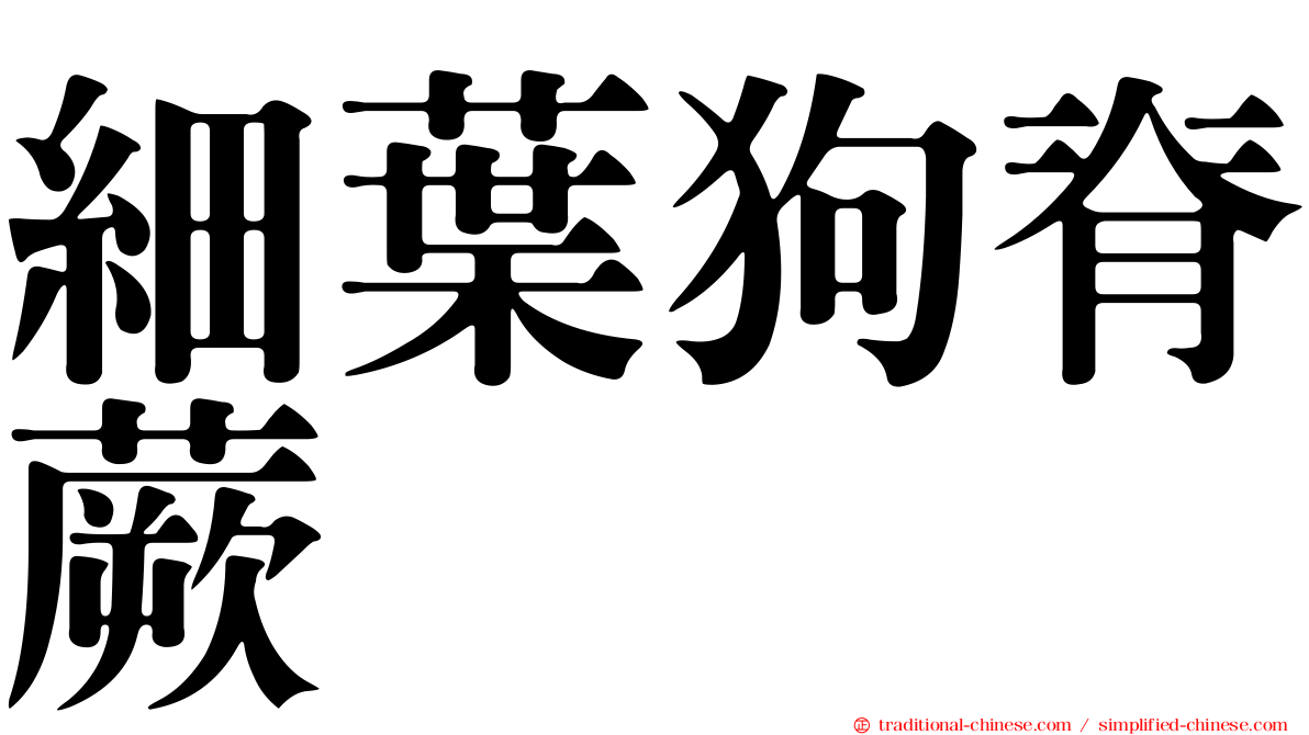 細葉狗脊蕨
