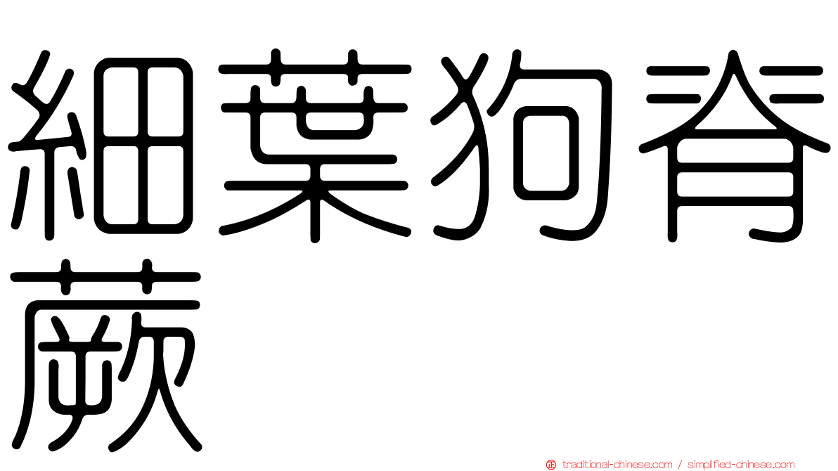 細葉狗脊蕨