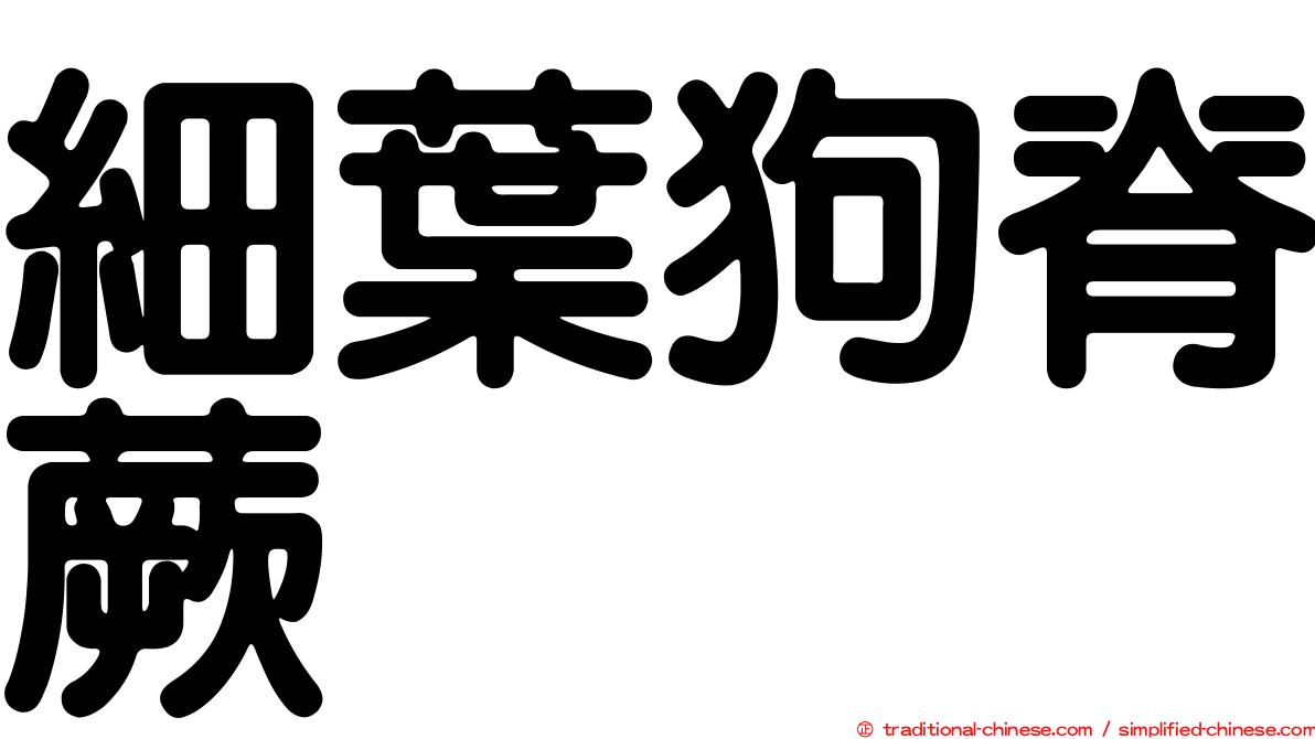細葉狗脊蕨