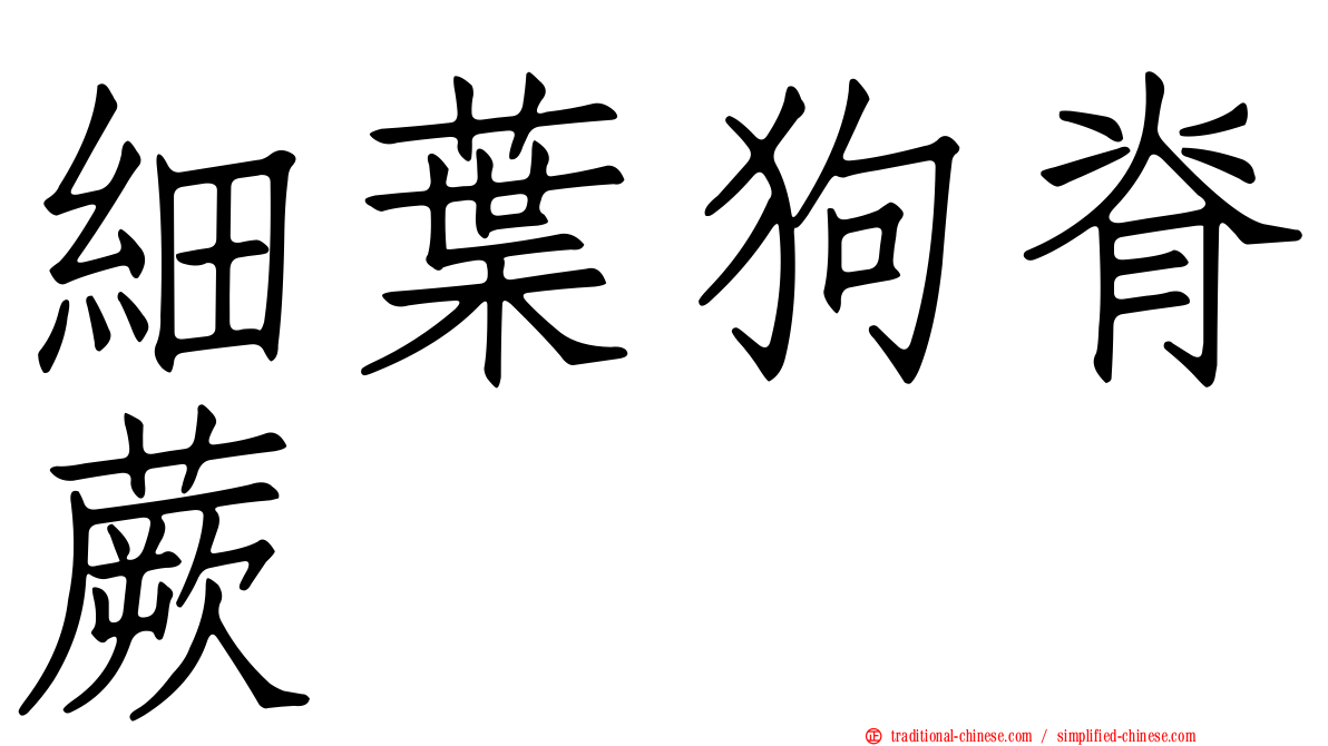 細葉狗脊蕨