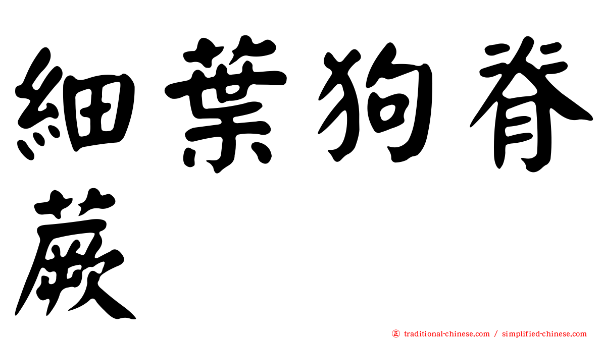 細葉狗脊蕨