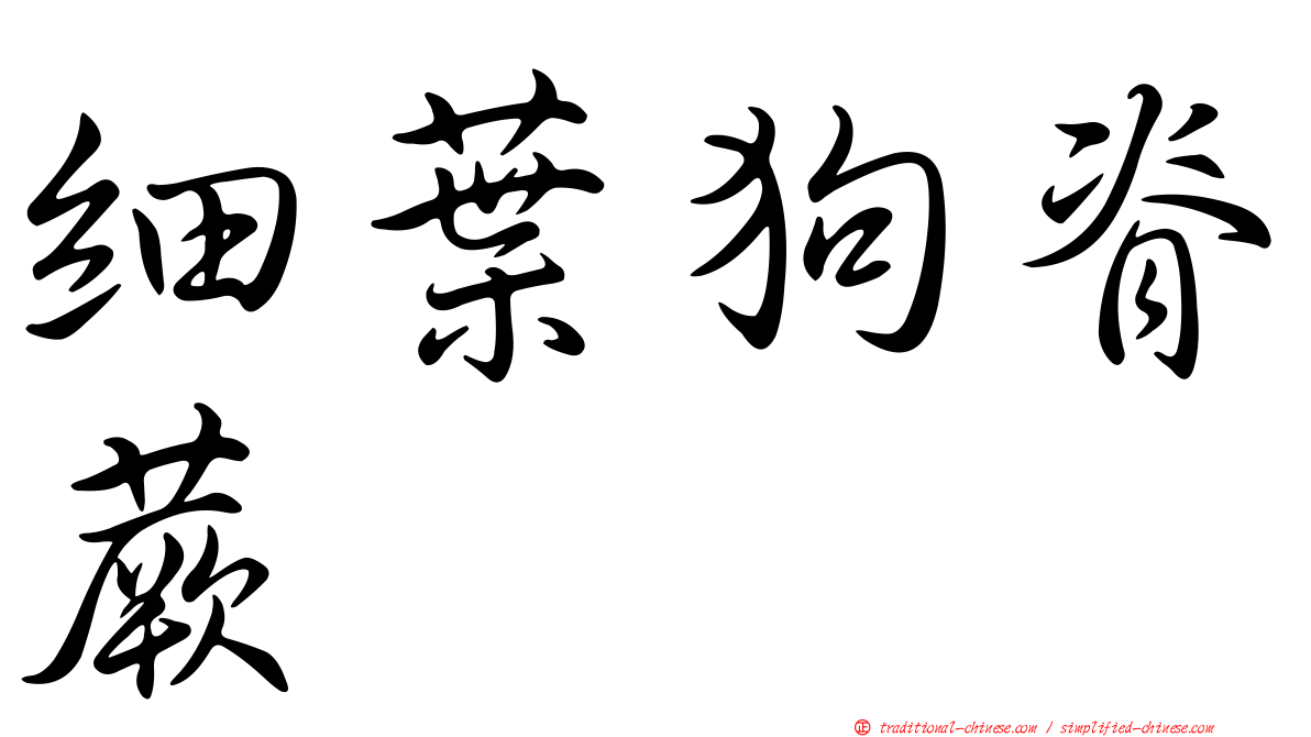 細葉狗脊蕨
