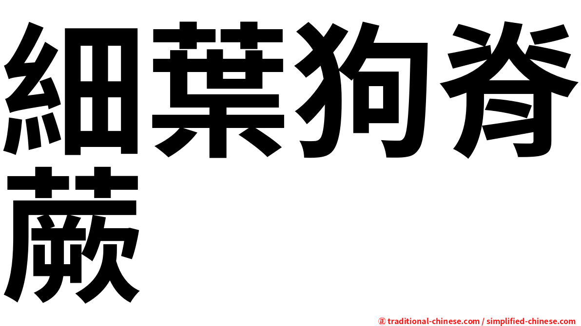 細葉狗脊蕨