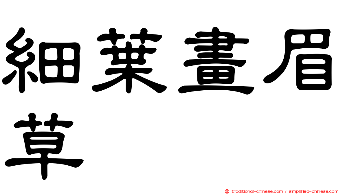 細葉畫眉草