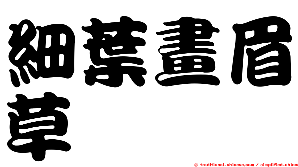 細葉畫眉草