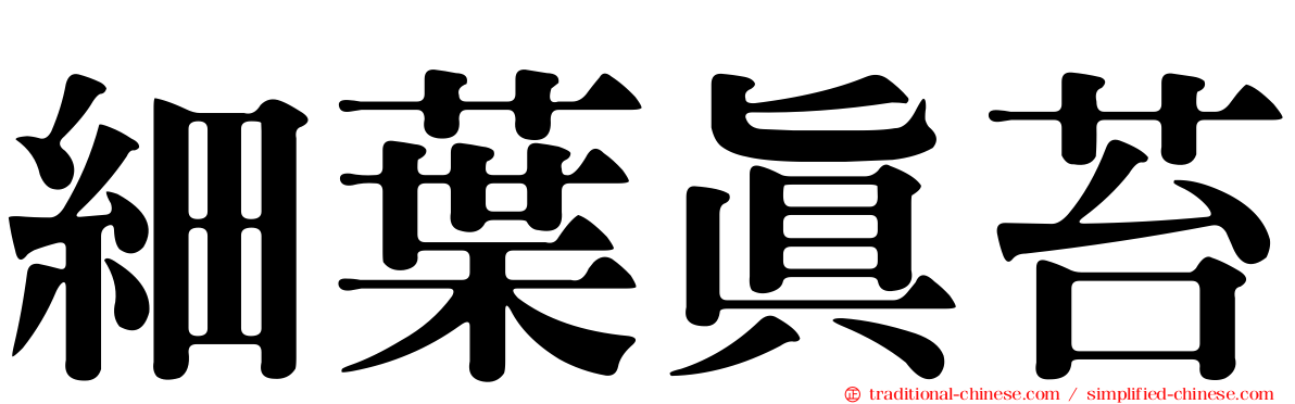 細葉真苔