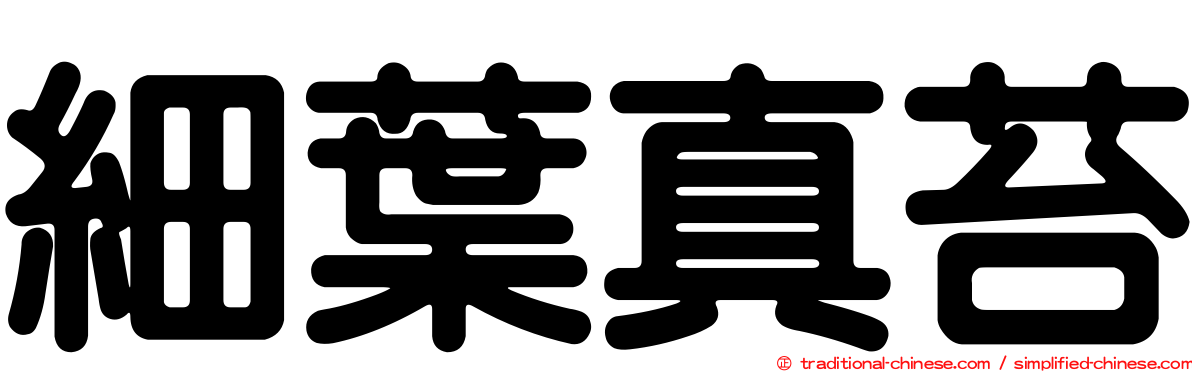 細葉真苔