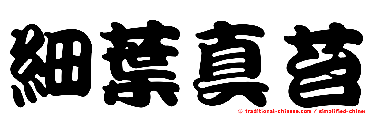 細葉真苔