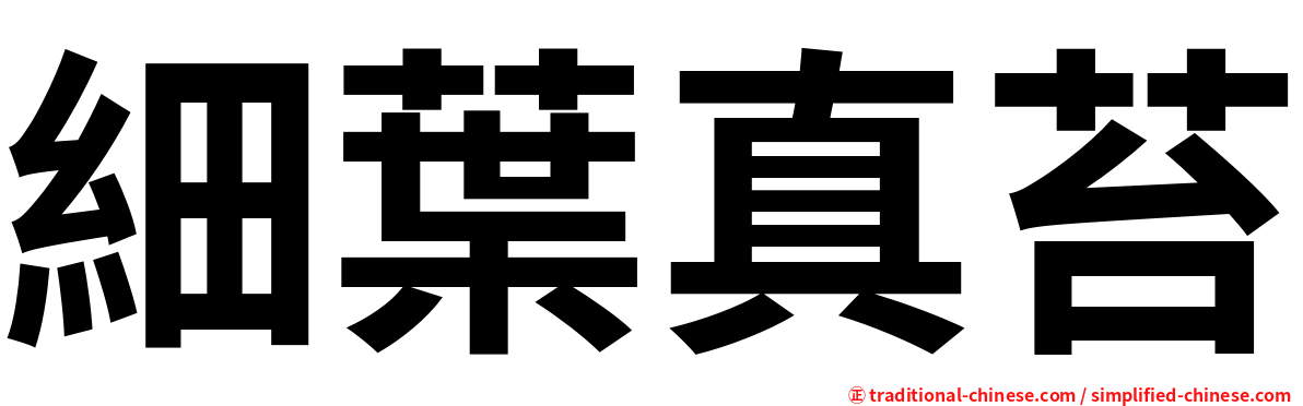 細葉真苔
