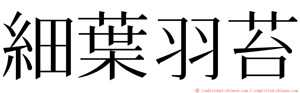 細葉羽苔 ming font
