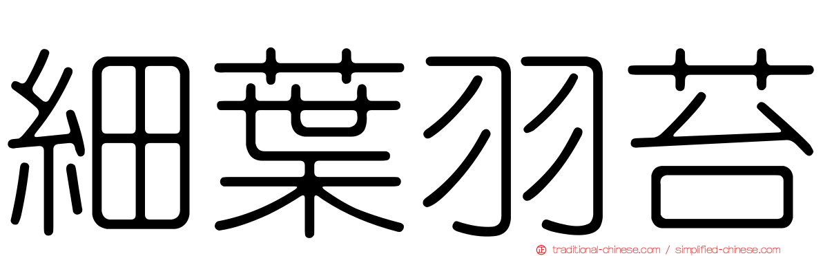 細葉羽苔